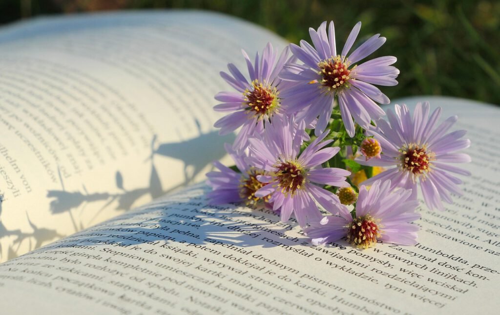 flowers, beautiful flowers, flower background, nature, asters, flower wallpaper, book