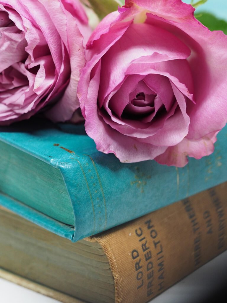 flower, rose, love, nature, romance, still life, beautiful flowers, petal, decoration, wedding, desktop, romantic, pink, teal, book, flower wallpaper, books, read, reading, rose flower, relax, self care, refresh, blog, flower background, blogging, floral, holiday, valentine, vintage, celebration, decor, blossom, bloom, rose wallpaper, iphone wallpaper